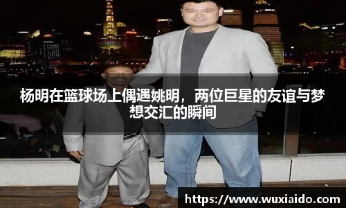 乐虎国际娱乐唯一网站